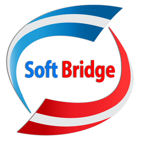 Soft Bridge